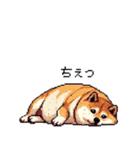 やる気の出ないネガティブ 太っちょ柴犬（個別スタンプ：25）