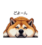 やる気の出ないネガティブ 太っちょ柴犬（個別スタンプ：26）