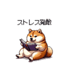 やる気の出ないネガティブ 太っちょ柴犬（個別スタンプ：27）