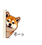 やる気の出ないネガティブ 太っちょ柴犬（個別スタンプ：29）