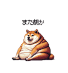 やる気の出ないネガティブ 太っちょ柴犬（個別スタンプ：30）