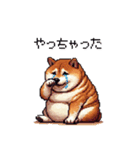 やる気の出ないネガティブ 太っちょ柴犬（個別スタンプ：31）