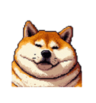 やる気の出ないネガティブ 太っちょ柴犬（個別スタンプ：33）