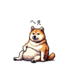 やる気の出ないネガティブ 太っちょ柴犬（個別スタンプ：36）