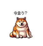 やる気の出ないネガティブ 太っちょ柴犬（個別スタンプ：38）