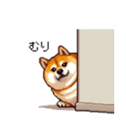 やる気の出ないネガティブ 太っちょ柴犬（個別スタンプ：40）