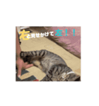 うちのうにが可愛い2（個別スタンプ：1）