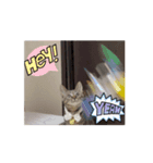 うちのうにが可愛い2（個別スタンプ：2）