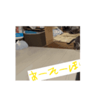 うちのうにが可愛い2（個別スタンプ：4）