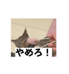 うちのうにが可愛い2（個別スタンプ：5）