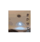 動けるいい子ちゃんたち（個別スタンプ：10）
