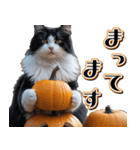 飛び出す★秋を感じる・ハチワレ猫（個別スタンプ：23）