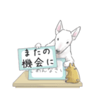 甘くない♢パンダとコアリクイ（個別スタンプ：15）