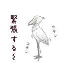 甘くない♢パンダとコアリクイ（個別スタンプ：17）