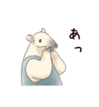 甘くない♢パンダとコアリクイ（個別スタンプ：19）
