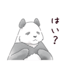 甘くない♢パンダとコアリクイ（個別スタンプ：20）