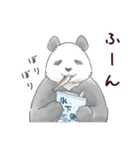 甘くない♢パンダとコアリクイ（個別スタンプ：35）