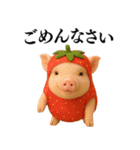 【日常会話】可愛い子豚のコスプレ（個別スタンプ：4）