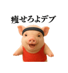 【日常会話】可愛い子豚のコスプレ（個別スタンプ：9）