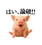 【日常会話】可愛い子豚のコスプレ（個別スタンプ：13）