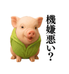【日常会話】可愛い子豚のコスプレ（個別スタンプ：16）