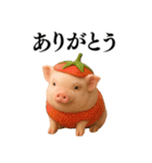 【日常会話】可愛い子豚のコスプレ（個別スタンプ：17）