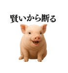 【日常会話】可愛い子豚のコスプレ（個別スタンプ：22）