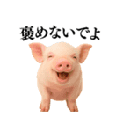 【日常会話】可愛い子豚のコスプレ（個別スタンプ：28）