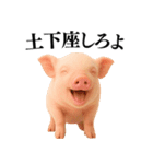 【日常会話】可愛い子豚のコスプレ（個別スタンプ：32）