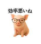 【日常会話】可愛い子豚のコスプレ（個別スタンプ：37）