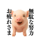 【日常会話】可愛い子豚のコスプレ（個別スタンプ：39）