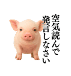 【日常会話】可愛い子豚のコスプレ（個別スタンプ：40）