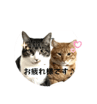 あづ＆ニコ＆つぼさん（個別スタンプ：2）