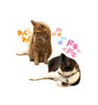 あづ＆ニコ＆つぼさん（個別スタンプ：13）