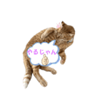 あづ＆ニコ＆つぼさん（個別スタンプ：14）