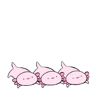 小さいなんだかゆるいウーパールーパー（個別スタンプ：16）