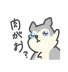 がおがおの業務連絡（個別スタンプ：1）