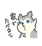 がおがおの業務連絡（個別スタンプ：6）
