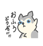 がおがおの業務連絡（個別スタンプ：9）