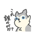 がおがおの業務連絡（個別スタンプ：11）