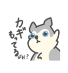 がおがおの業務連絡（個別スタンプ：12）