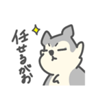 がおがおの業務連絡（個別スタンプ：14）