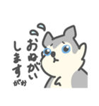 がおがおの業務連絡（個別スタンプ：16）
