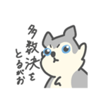 がおがおの業務連絡（個別スタンプ：19）