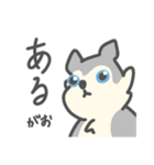 がおがおの業務連絡（個別スタンプ：22）