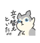 がおがおの業務連絡（個別スタンプ：24）
