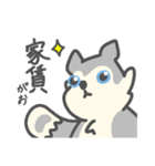 がおがおの業務連絡（個別スタンプ：25）