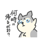 がおがおの業務連絡（個別スタンプ：27）