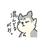 がおがおの業務連絡（個別スタンプ：28）