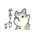 がおがおの業務連絡（個別スタンプ：32）